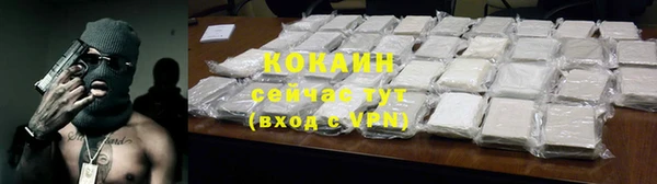 индика Лихославль