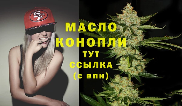 индика Лихославль