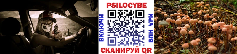 Галлюциногенные грибы Magic Shrooms  купить закладку  Ядрин 